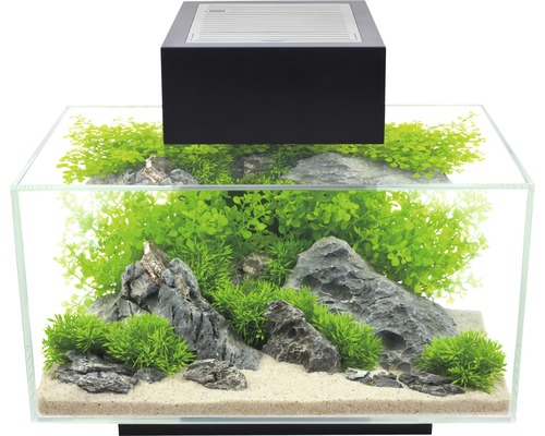 Decoratief aquarium met planten, stenen en verlichting