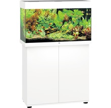 Aquarium met onderkast, gevuld met vissen en planten