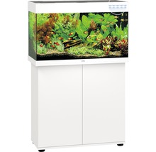 Compleet aquarium met onderkast en decoratie
