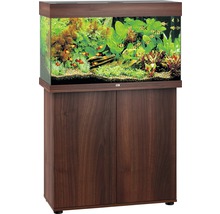 Aquarium met onderkast, gevuld met vissen en planten
