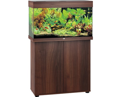 Aquarium met onderkast, gevuld met vissen en planten