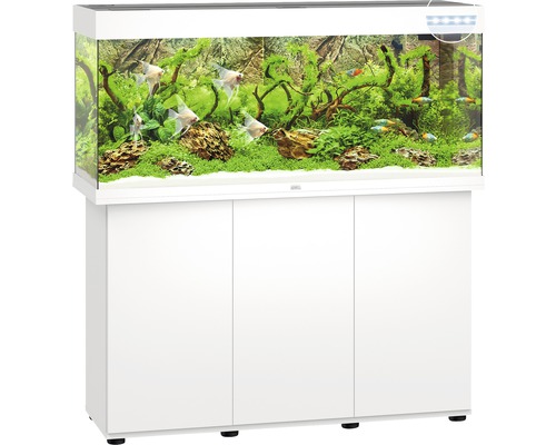 Aquarium met onderkast en decoratie