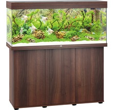 Aquarium met onderkast en tropische decoratie