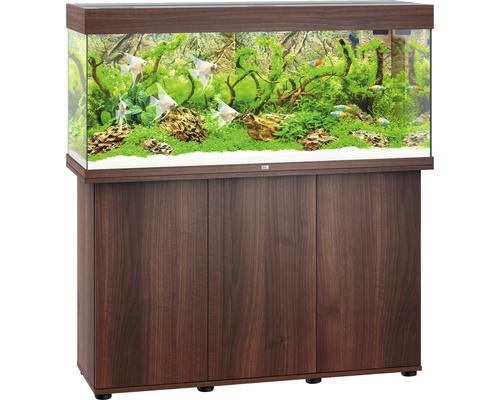 Aquarium met onderkast en tropische decoratie