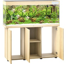 Aquarium met onderkast en ingebouwde verlichting
