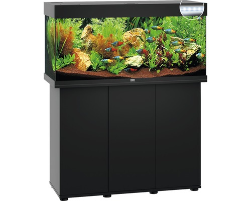 Compleet aquarium met onderkast, planten, vissen en verlichting.