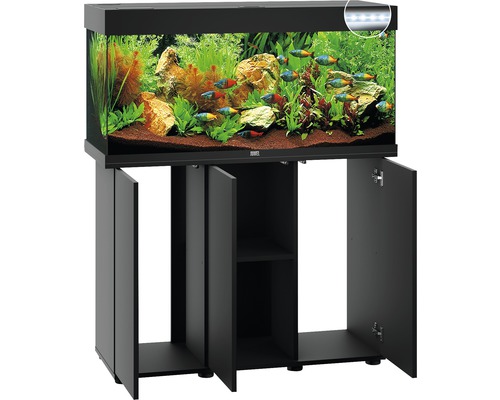 Zwart aquarium met kast, planten en vissen