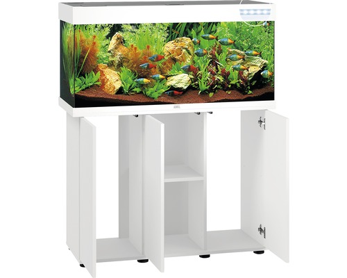 Aquarium met onderkast en decoratie