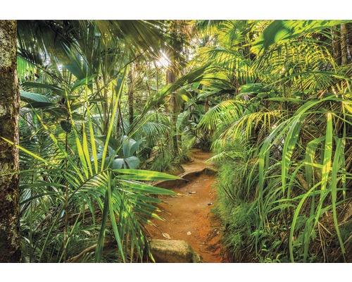 KOMAR Fotobehang papier 8-989 Jungle Trail 368x254 cm