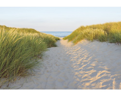 KOMAR Fotobehang papier 8-995 Colours Imagine Edition 5 Sandy Path 368x254 cm Pad door zandduinen naar de zee