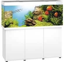 Aquarium met onderkast, vissen, planten en decoratie