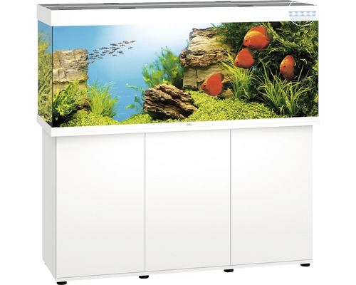 Aquarium met onderkast, vissen, planten en decoratie