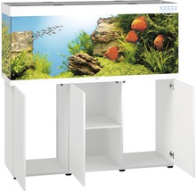 Aquarium met onderkast voor vis en decoratie
