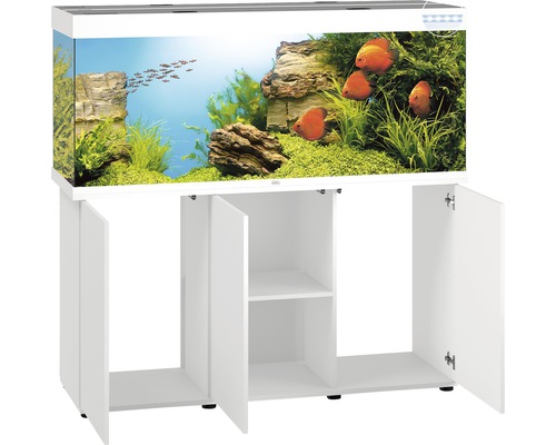 Aquarium met onderkast voor vis en decoratie