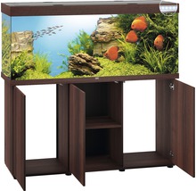 Aquarium met onderkast en vissen