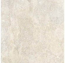 Wand- en Vloertegel Castle almond 80x80 cm gerectificeerd