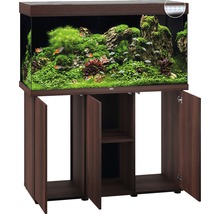 Aquariumcombinatie met onderkast, beplant en met vissen