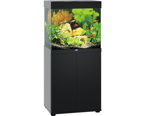 Compleet aquarium met onderkast, vissen en decoratie