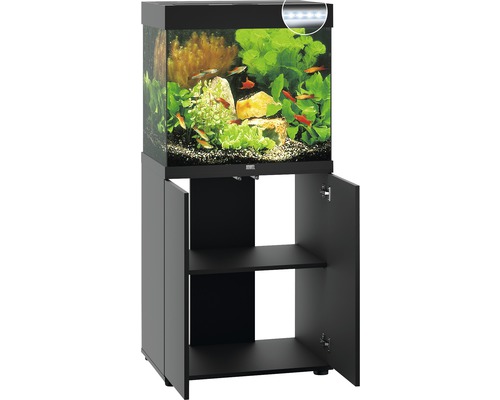 Aquarium met onderkast en verlichting
