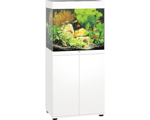 JUWEL Aquarium Lido incl. onderkast LED wit 120 L, 61x41x131 cm Wit aquarium met onderkast en vissen