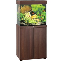 Aquarium met onderkast voor zoetwatervissen en planten