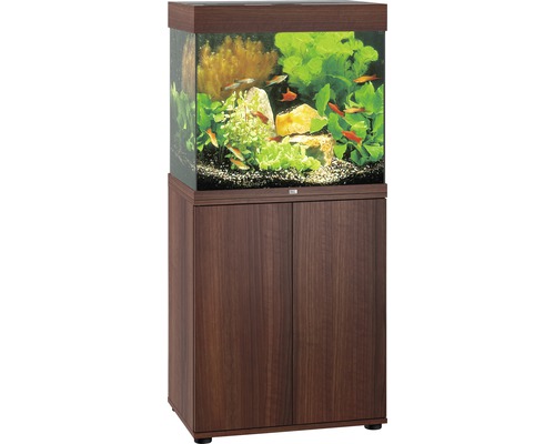 Aquarium met onderkast voor zoetwatervissen en planten