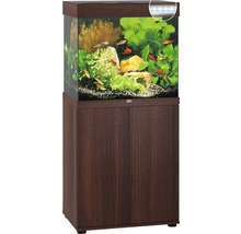 Aquarium met onderkast en decoratie