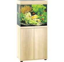 Compleet aquarium met onderkast en decoratie