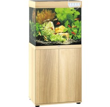 Aquariumcombinatie met onderkast, beplant en met vissen