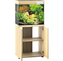 Aquarium met onderkast en vissen en planten