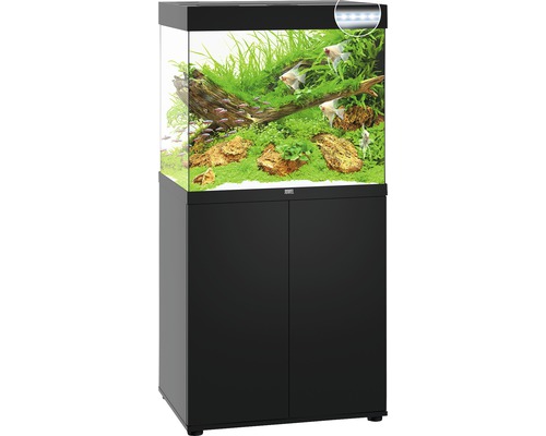 Compleet aquarium met onderkast, beplant en met vissen