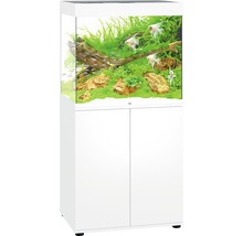 Compleet aquarium met kast, inclusief vissen, planten en decoratie