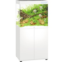 Compleet aquarium met onderkast in het wit, inclusief decoratie en vissen.