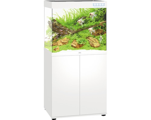 Compleet aquarium met onderkast in het wit, inclusief decoratie en vissen.