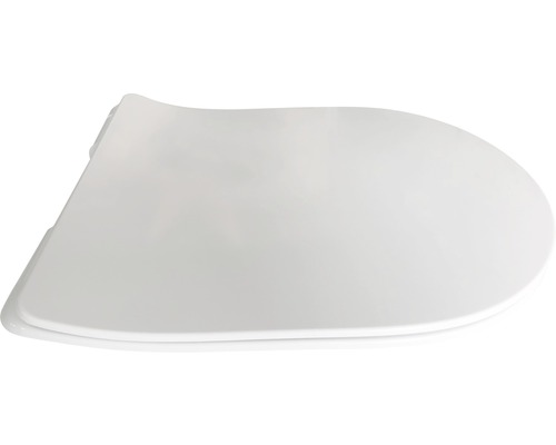 Toiletdeksel van kunststof