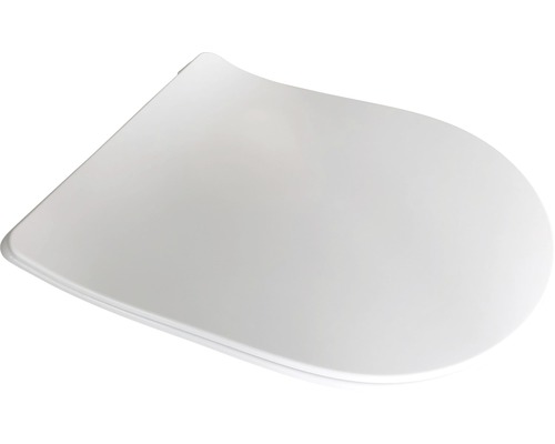 Toiletdeksel van kunststof