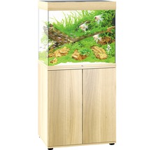 Aquarium met kast en vissen