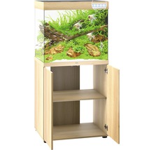 Aquarium met onderkast en vissen