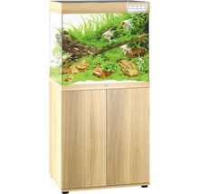 Compleet aquarium met onderkast, beplant en met vissen