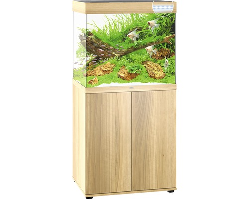 Compleet aquarium met onderkast, beplant en met vissen