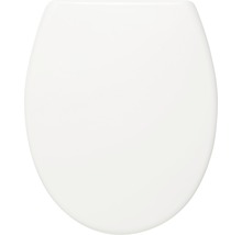 Toiletdeksel van kunststof