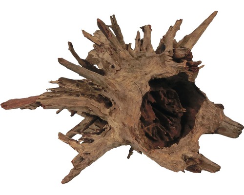 ORBIT Mangrove wortel Corbo bruin M ORBIT Mangrove wortel Corbo bruin M
