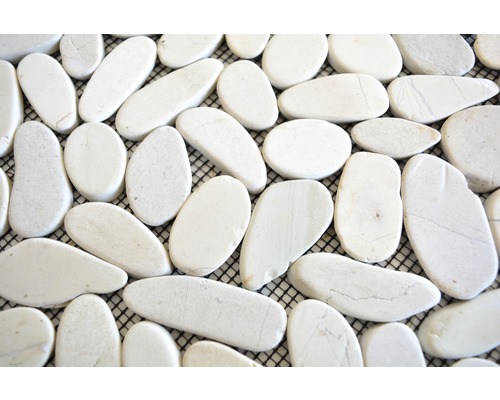 Witte kiezeltegel op net