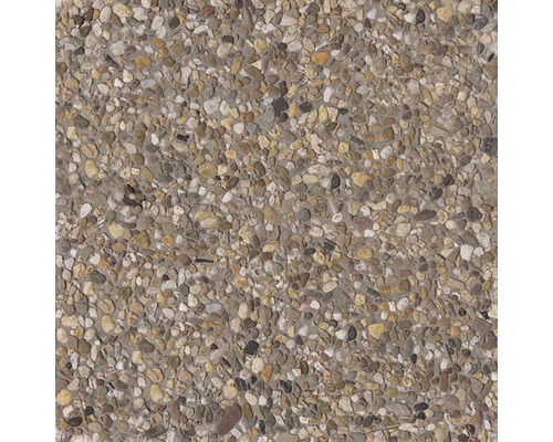 DIEPHAUS Grindtegel grijsbeige, 40 x 40 x 4 cm Close-up van een betonnen oppervlak met kiezels