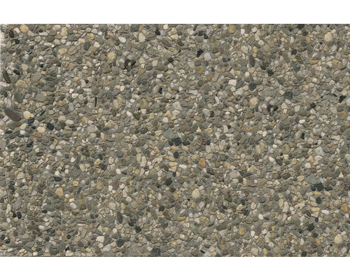 DIEPHAUS Grindtegel grijsbeige, 60 x 40 x 4 cm Close-up van een betonnen oppervlak met ingebedde kiezels voor buiten.