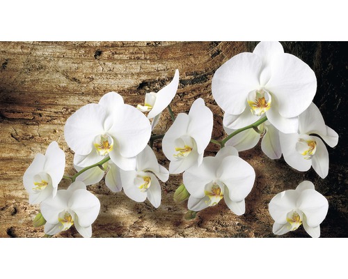 Fotobehang papier Orchidee op houten plank 254x184 cm