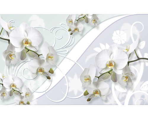 Fotobehang papier Witte orchidee ornament 254x184 cm