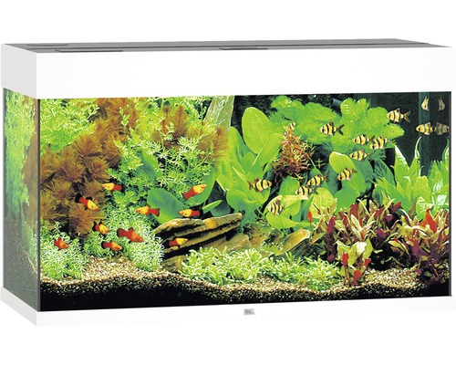 Lit d'aquarium Karlie 80x35x0.6 cm - HORNBACH