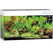 JUWEL Aquarium Rio LED wit 125 L, 81x36x50 cm-thumb-0