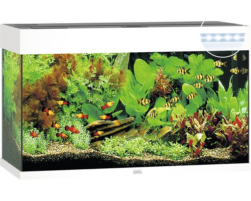 JUWEL Aquarium Rio LED wit 125 L, 81x36x50 cm JUWEL Aquarium Rio LED wit 125 L, 81x36x50 cm